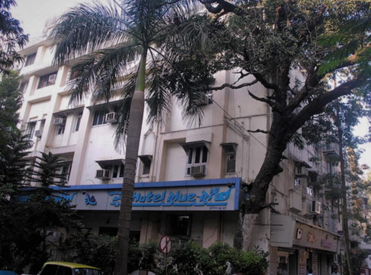 Hotel Blue Bird Colaba Mandve Exteriér fotografie